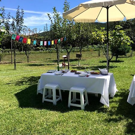 Casa Dos Avos Villa Povoa de Lanhoso Luaran gambar